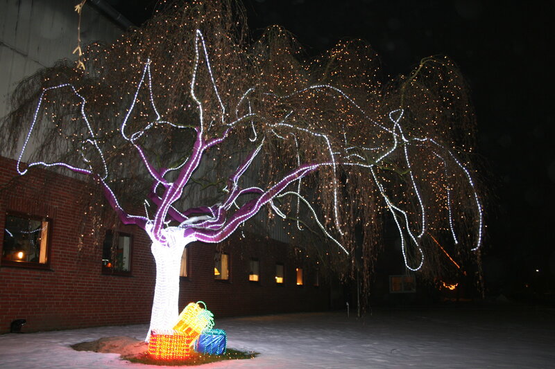 illuminated tree in snow