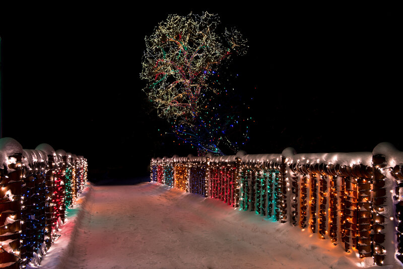 Illuminated Tree in Snow — White, Festive