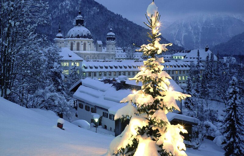 Illuminated Tree in Snow — White, Serene, Night, Photograph