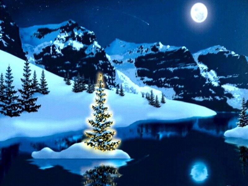 Illuminated Tree on Island