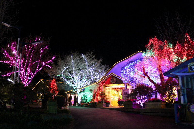 Illuminated Trees and Building