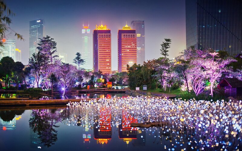 Illuminated Trees and Buildings
