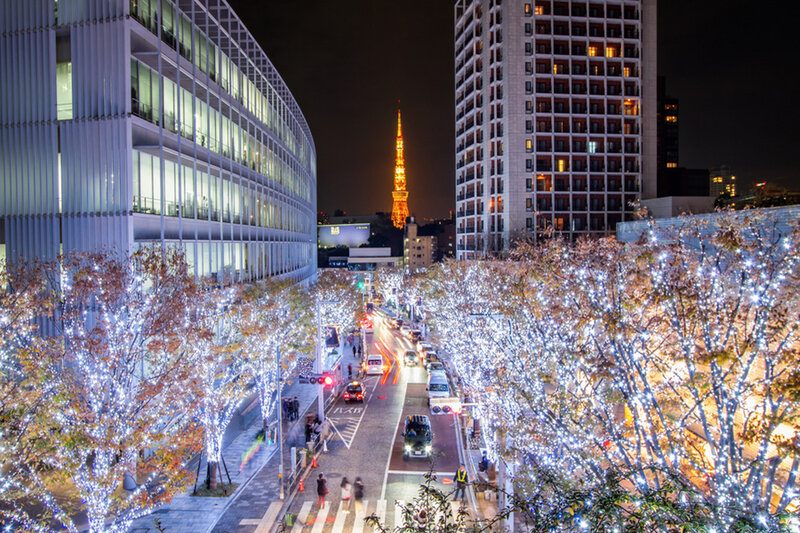 Illuminated Trees and Tower