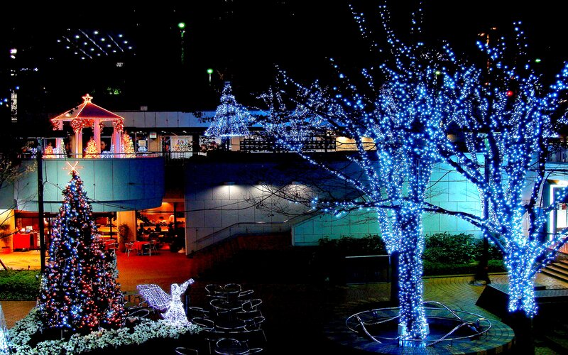 Illuminated Trees at Night — Blue, Festive, Photograph, Christmas Tree