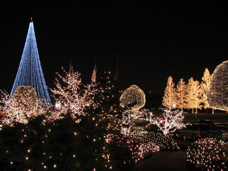 Illuminated Trees at Night — Blue, Festive