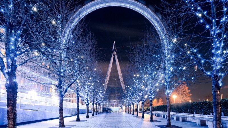 Illuminated Trees at Night — Blue, Serene