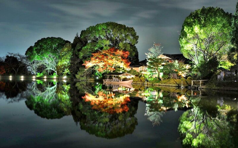 Illuminated Trees at Night — Green