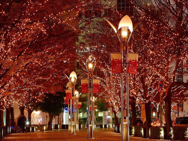 Illuminated Trees at Night — Red, Festive