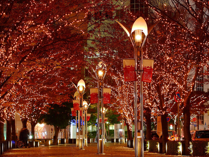 Illuminated Trees at Night — Red