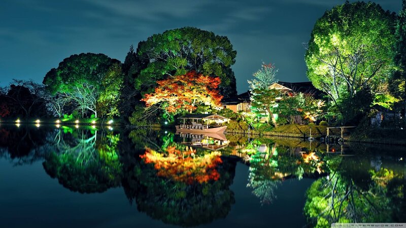 Illuminated Trees by Lake — Green, Serene, Night, Photograph, Building, Boat