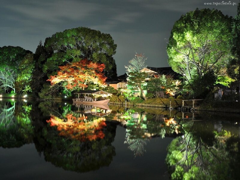 Illuminated Trees by Lake — Green, Serene, Night, Photograph, Building