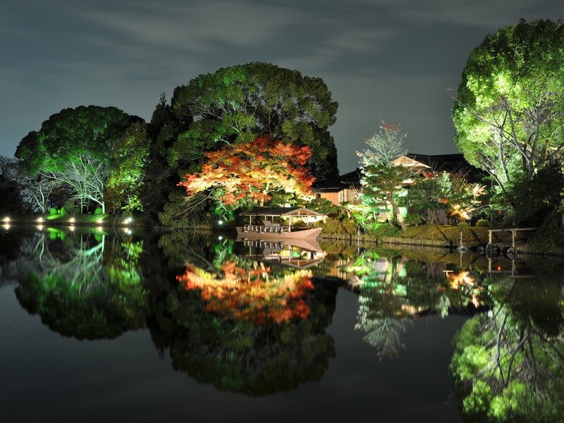 Illuminated Trees by Lake — Green, Serene, Night