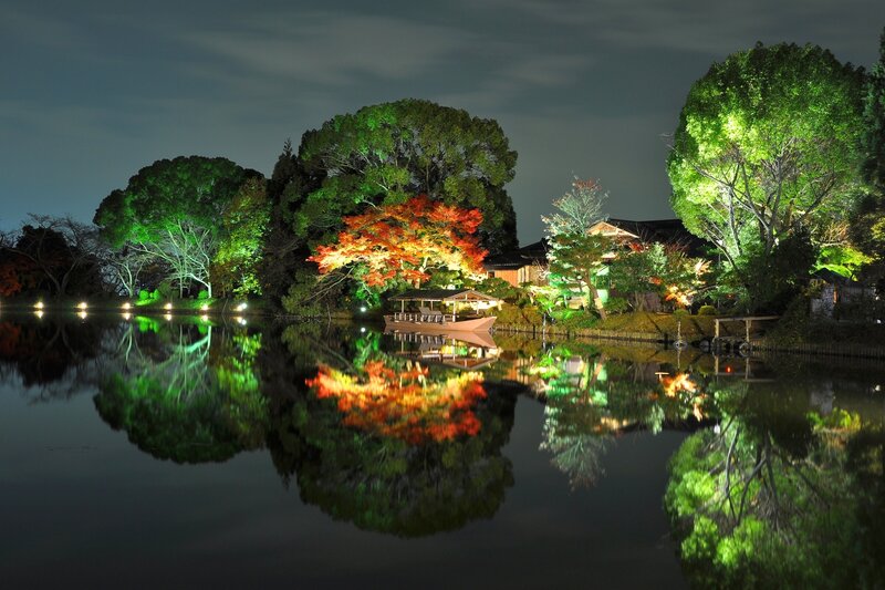 Illuminated Trees by Lake — Green, Serene