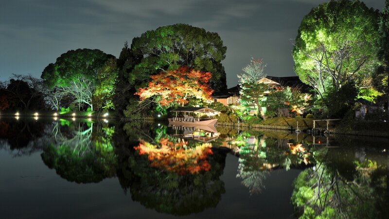 Illuminated Trees by Lake — Green