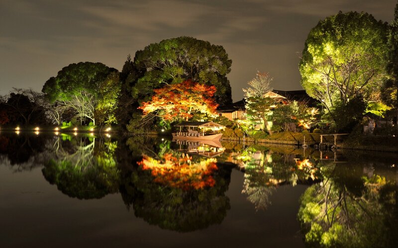 Illuminated Trees by Lake