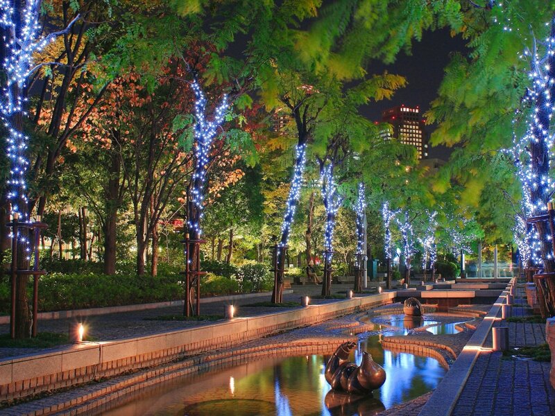 Illuminated Trees in Park