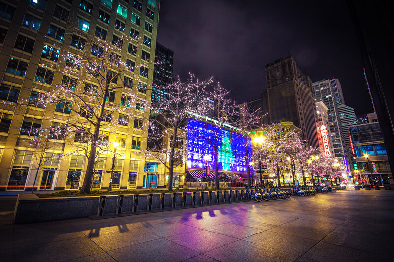 Illuminated Trees in Plaza — Blue