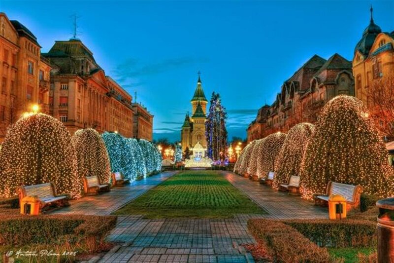 Illuminated Trees in Plaza