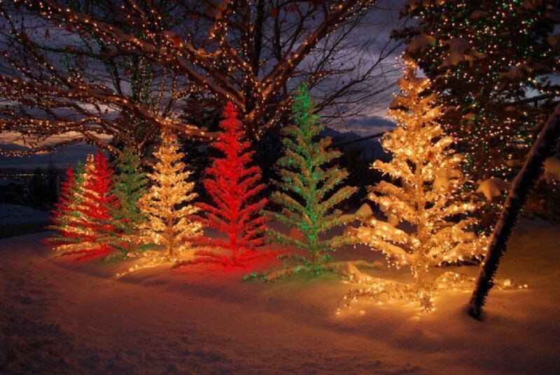 Illuminated Trees in Snow — Red