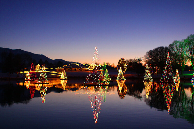 Illuminated Trees in Water — Blue