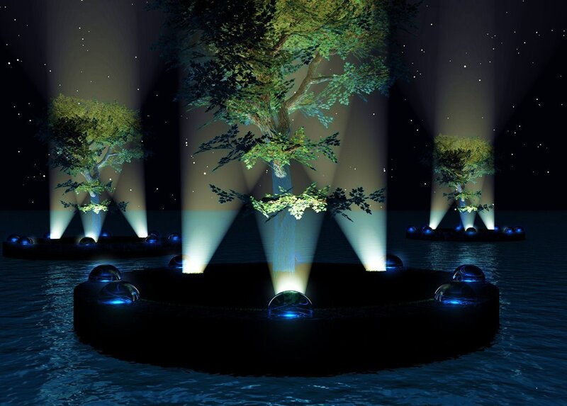 illuminated trees in water