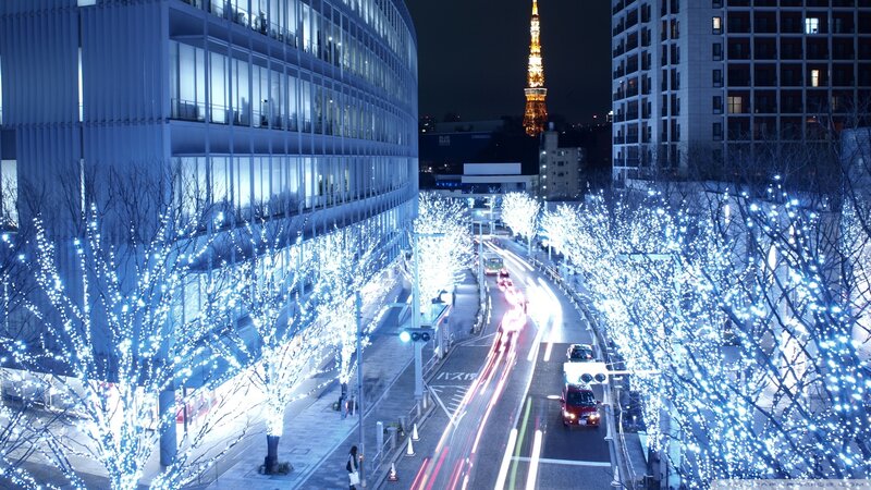 Illuminated Trees on Street — Blue