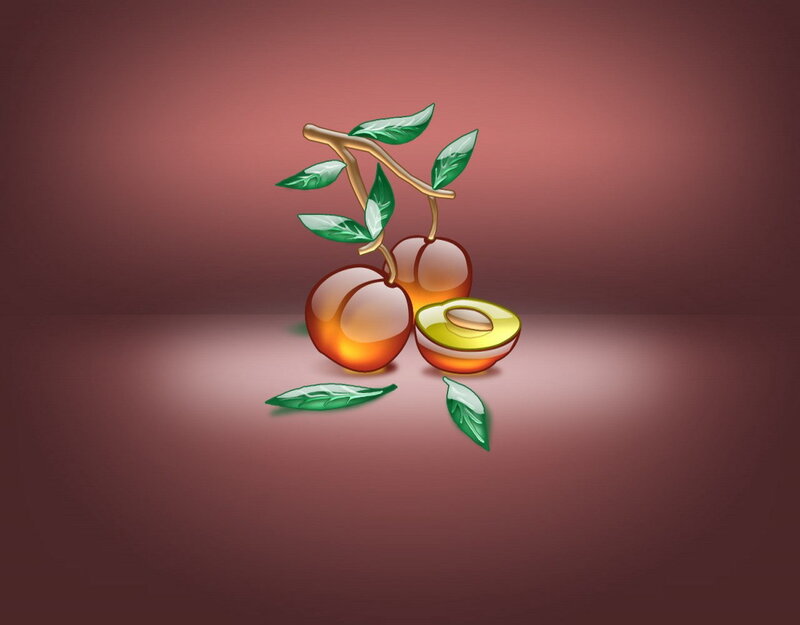 illustrated cherries on branch