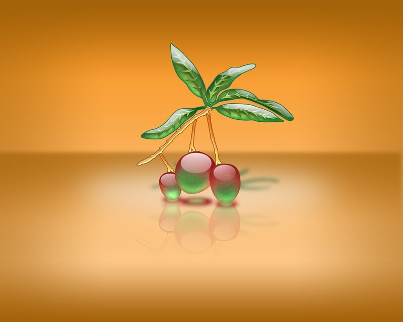 illustrated fruit branch