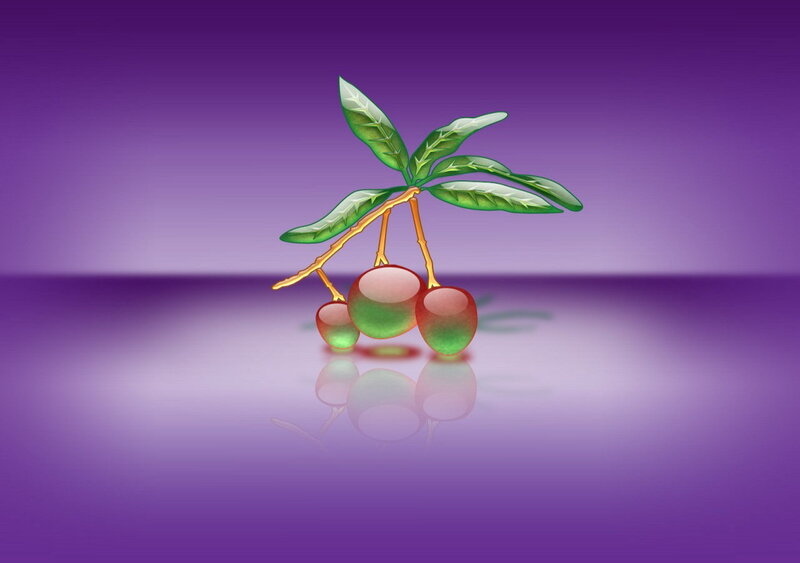illustrated fruit branch