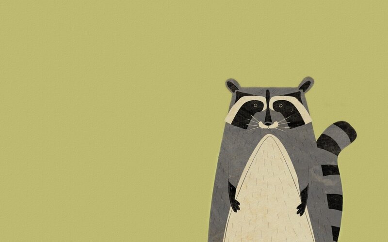 illustrated raccoon character