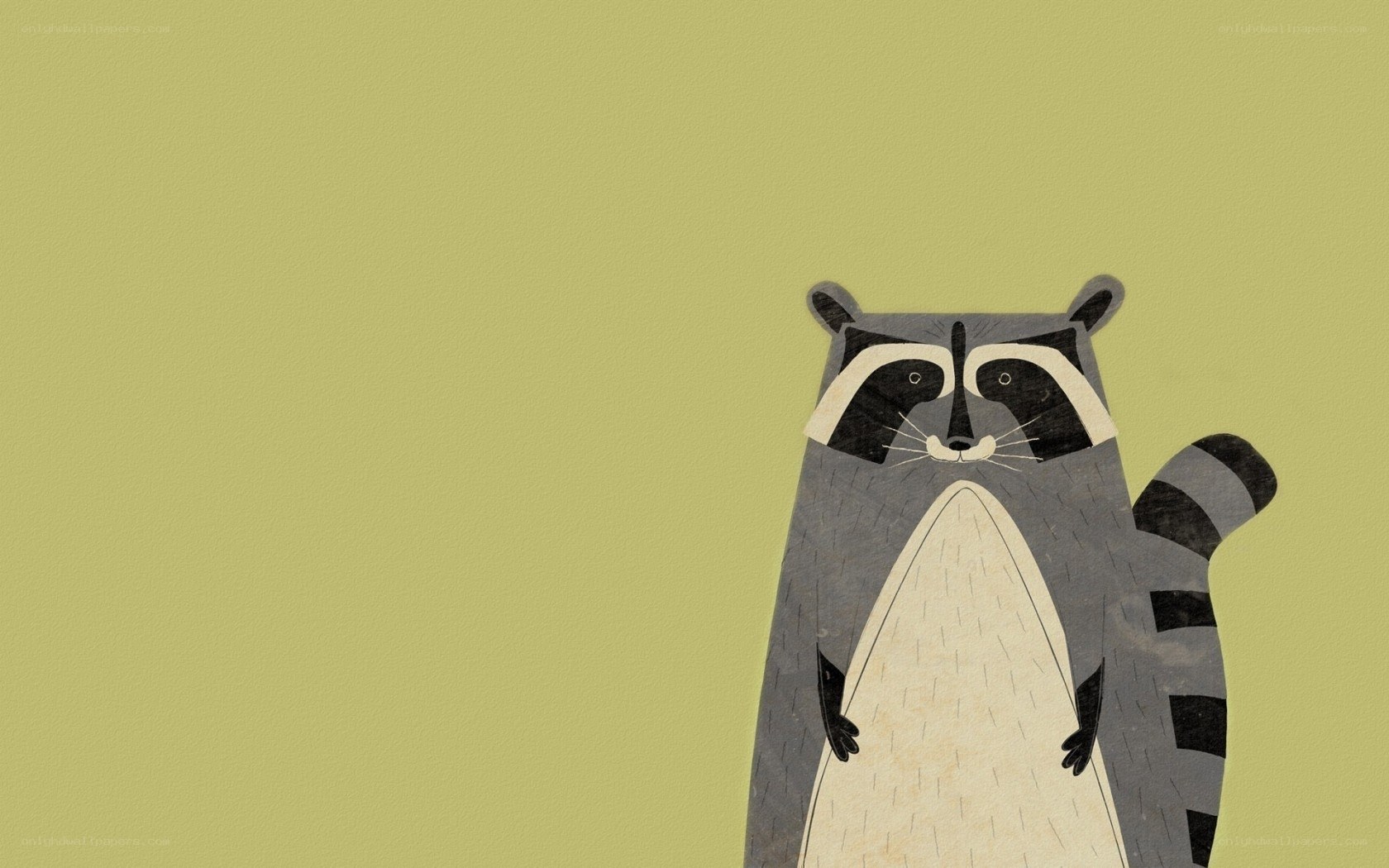 illustrated raccoon character