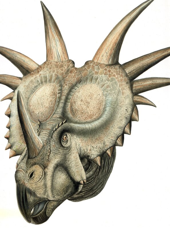 Illustration of a dinosaur skull
