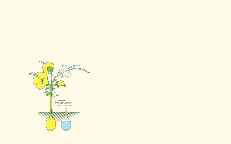 Illustration of a flower