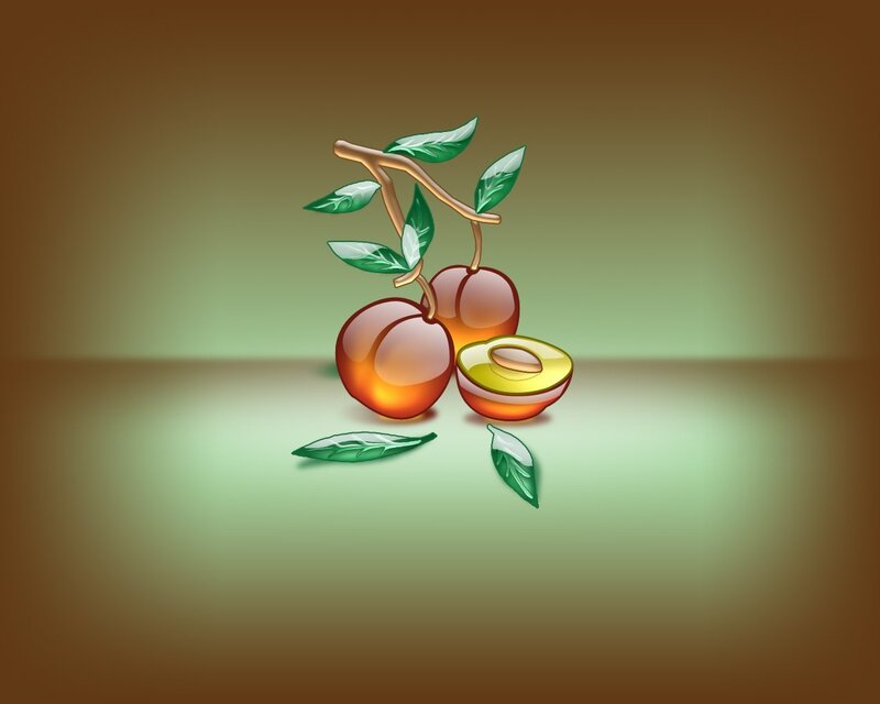 illustration of apricots
