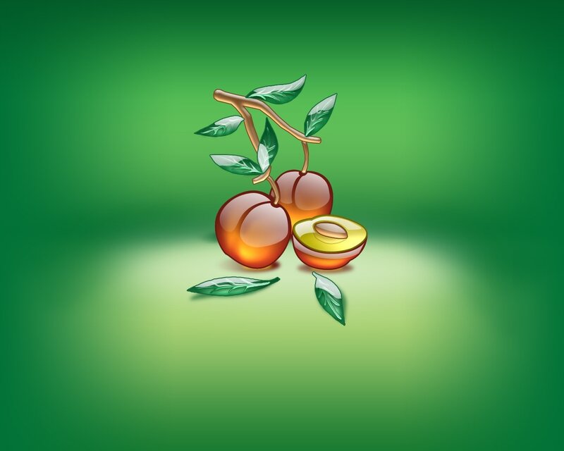 illustration of cherries