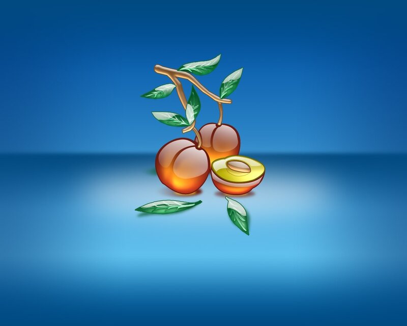 illustration of plums on a branch