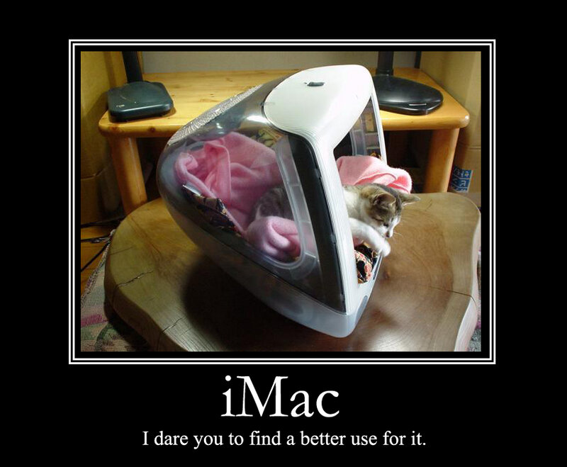 iMac cat bed