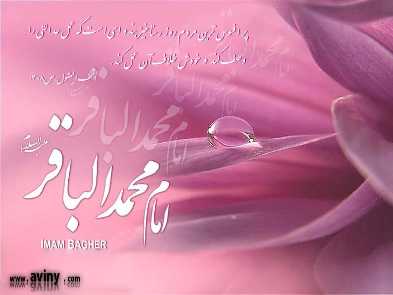 Imam Bagher quote with flower