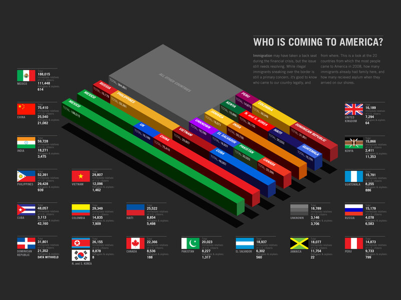 Immigration to America 2008