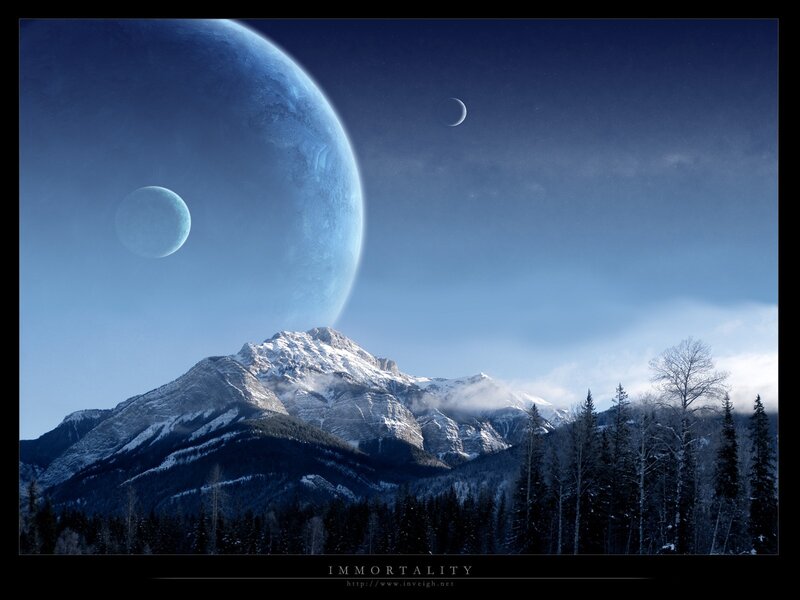 Immortality: Alien Landscape