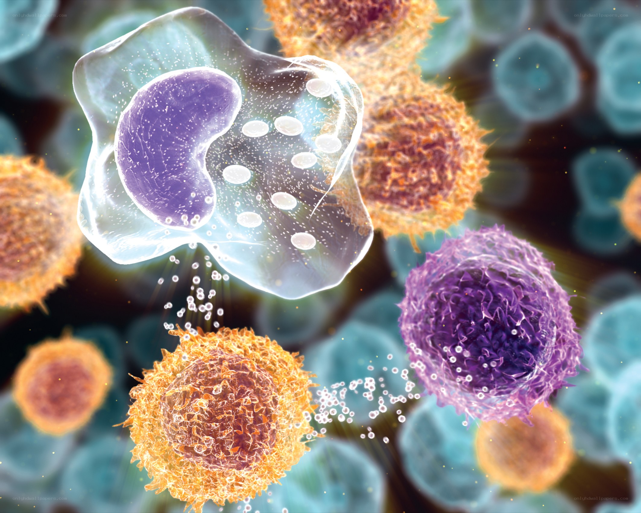 Immune cell attacking cancer