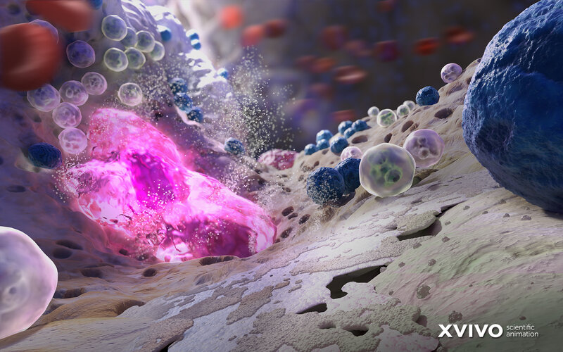 Immune Cells Attacking Tumor