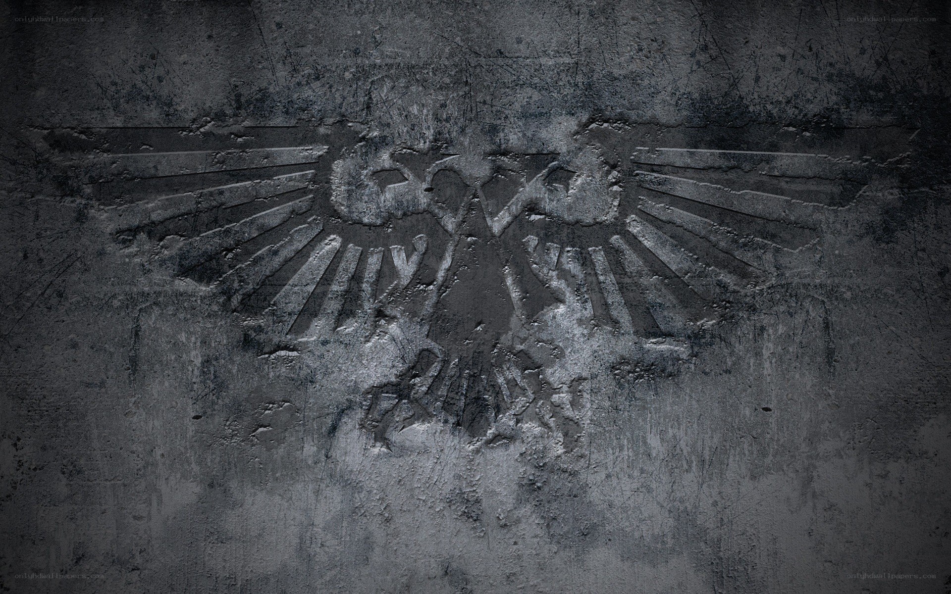 Imperial Aquila on stone wall