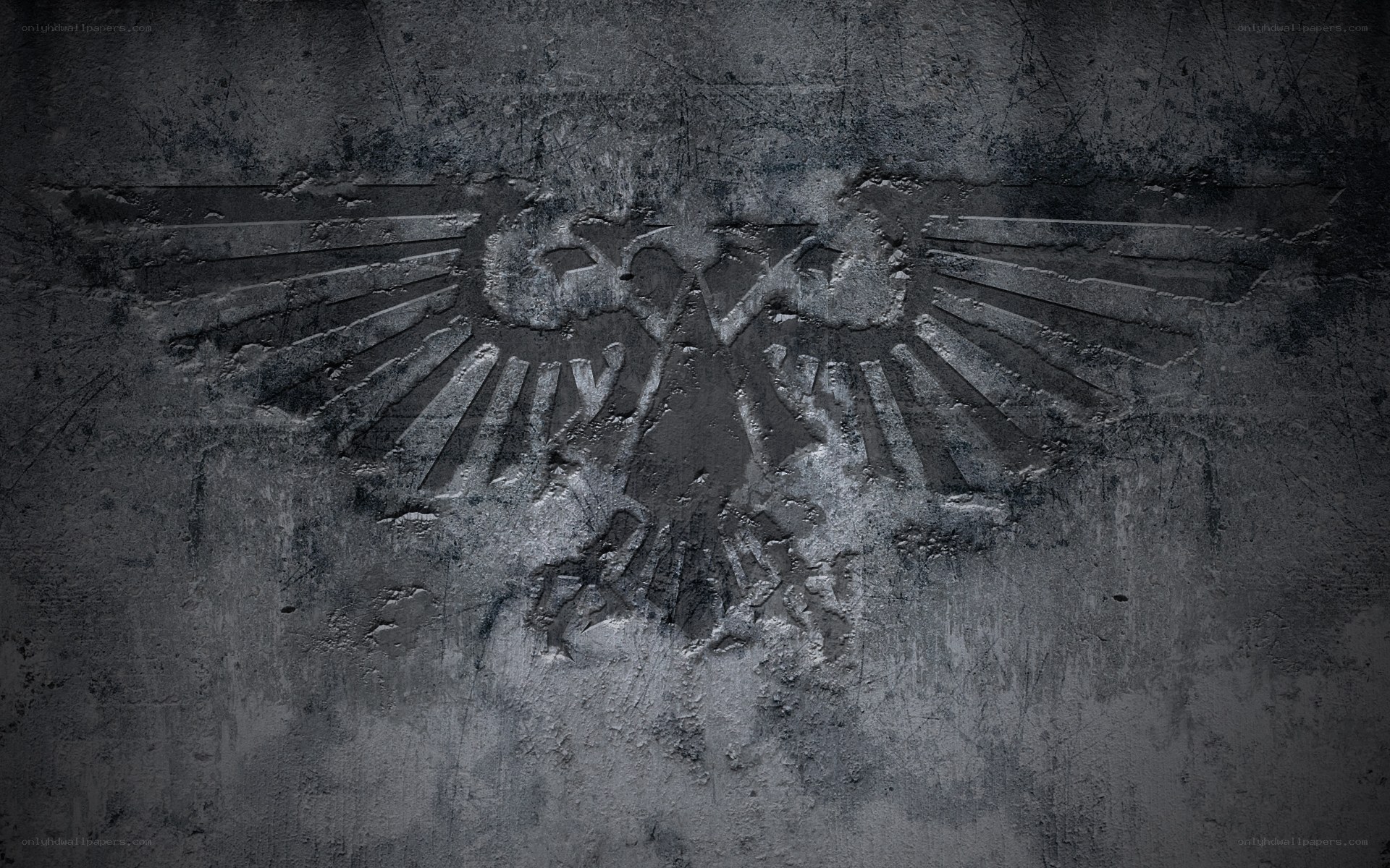 Imperial Aquila on stone wall