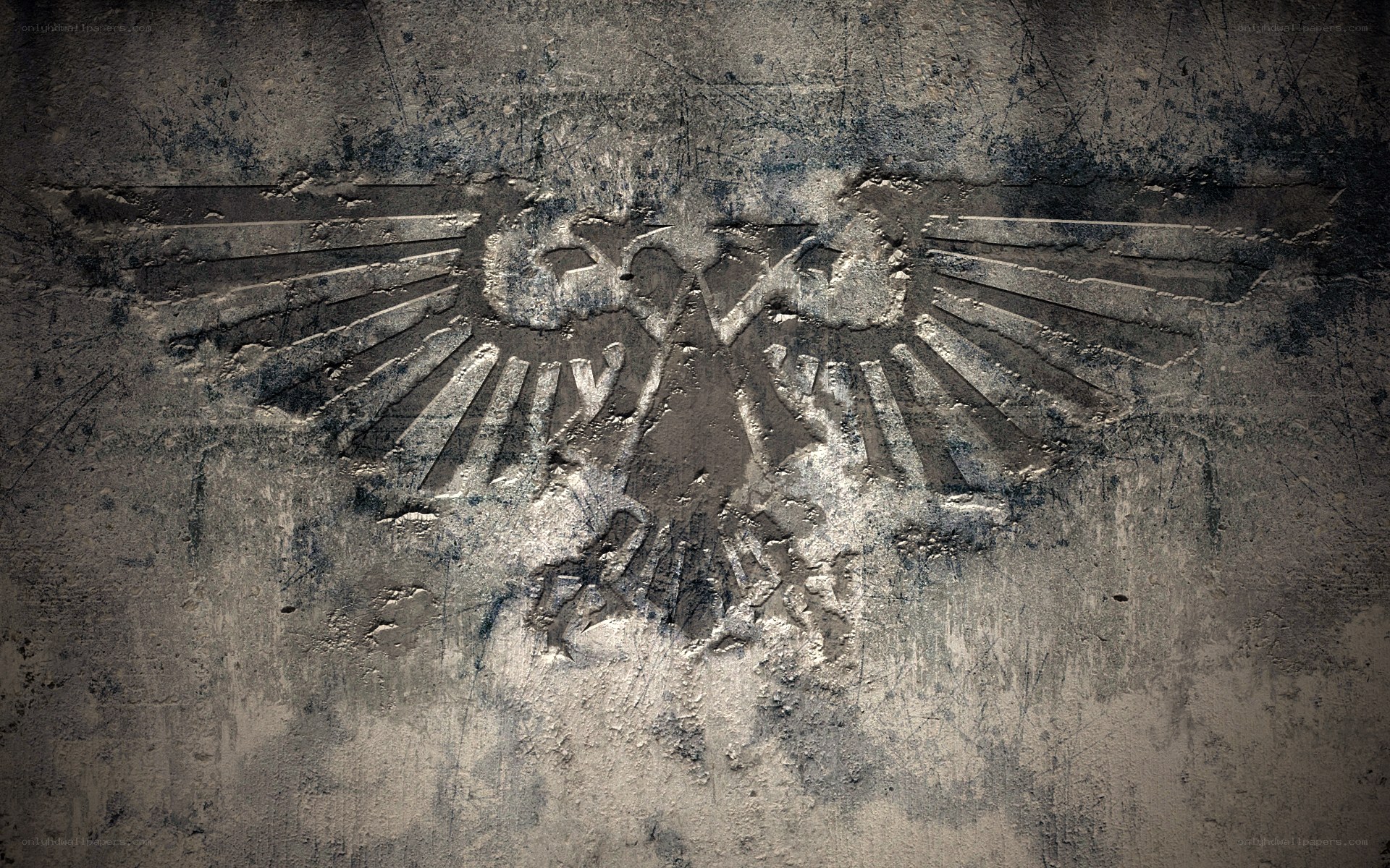 Imperial Aquila on weathered wall