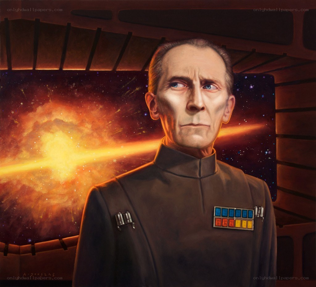 Imperial officer portrait