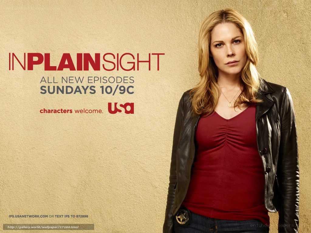 In Plain Sight promotional poster
