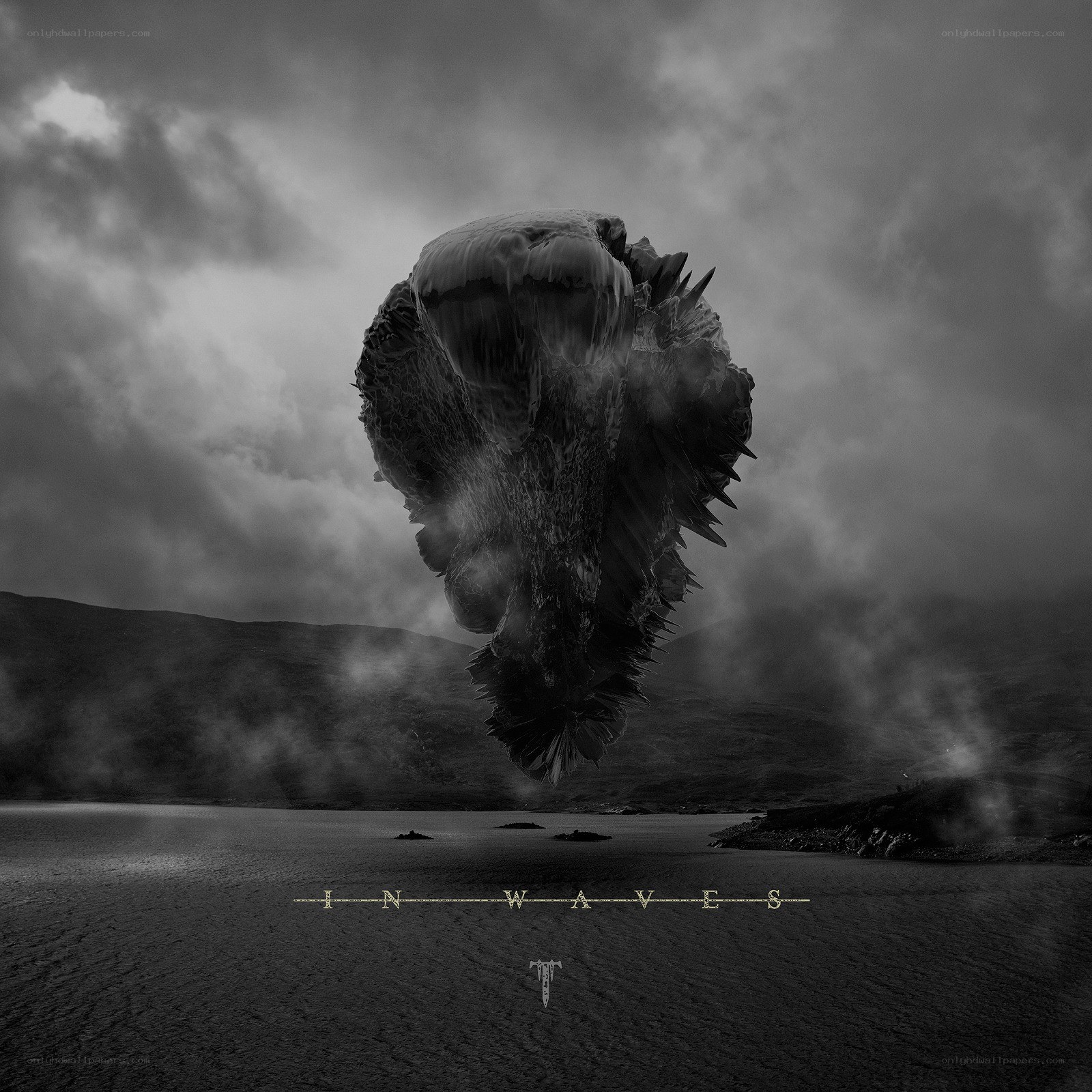 In Waves album cover