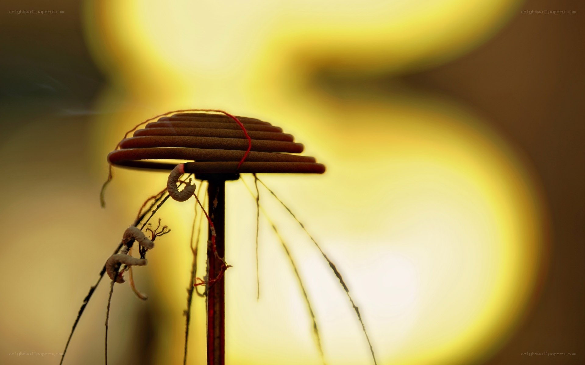 Incense coils on a stand