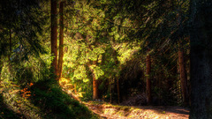 1280x1024 lightfromtheleftturn